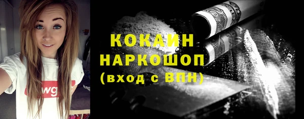 индика Баксан