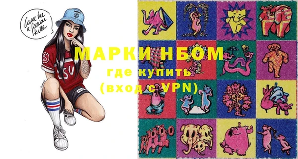 индика Баксан