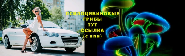 индика Баксан