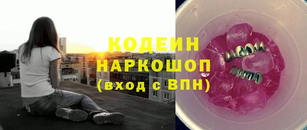индика Баксан