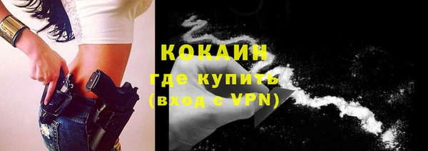 индика Баксан
