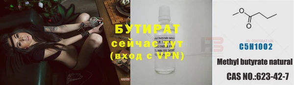 индика Баксан
