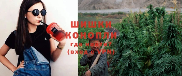 индика Баксан