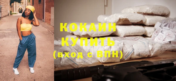 индика Баксан