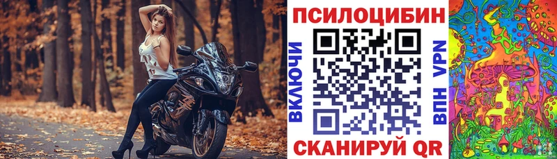 Галлюциногенные грибы мицелий  наркота  Саянск 